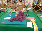1st place combined craft.