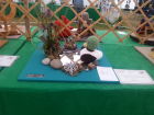 Cheshire Show Craft Entry