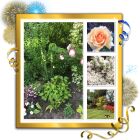 Garden Collage.
