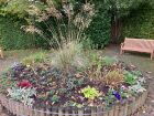 Our flower bed at the Memorial hall